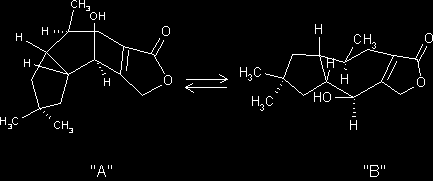 Two conformations possible for 3-deoxy-3-epilactarorufin A