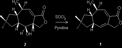 Dehydration of lactarorufin N