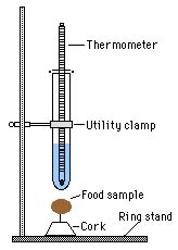 LAB: Calorimetry