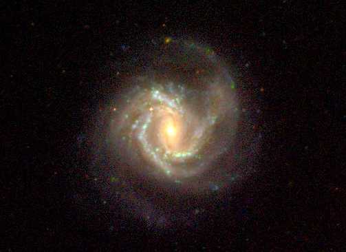 M61