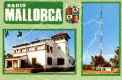 amallorca.jpg (2384 byte)