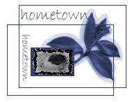 Visit my hometown