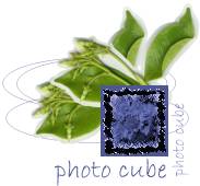 Cool pics on spinning photo cube