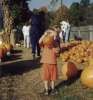 2001-10_PumpkinPatch