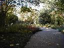 GardenPath.jpg (680246 bytes)