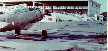 Harvard Mk.IV 1788 at Nacala (Mo�ambique) May 1975 (V.Mor�o via L.Tavares)