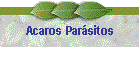 Acaros Parsitos