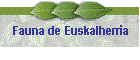 Fauna de Euskalherria