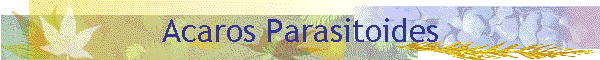 Acaros Parasitoides