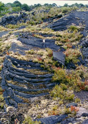 Lava Pahoehoe del Volcn Villarrica, Chile