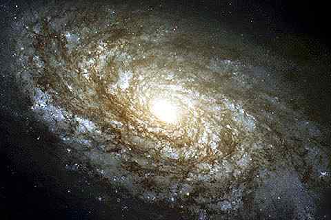 Spiral galaxy NGC 4414