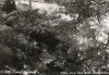 G-APDN crash