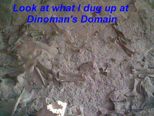 Fossils 1