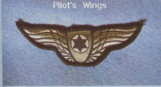 PILOT WINGS