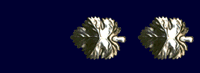 Lt. Colonel 