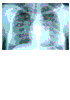 Texto de Radiologia