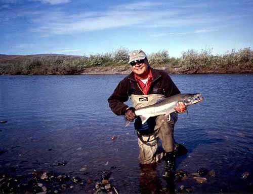 [Artic Char]