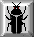 cockroach button