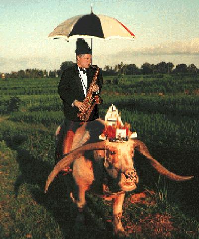 Photo of a Native Speaker of Bubbabonics