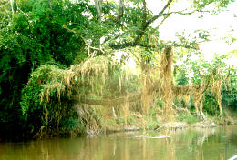 Rio Camanducaia
