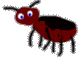 A Roach