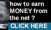 How to earn money from the net ?