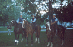 [Police on Horseback in Allen Gardens]