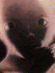 2001 Embryo