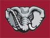 [Company Logo Image]
