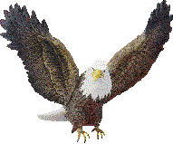Attacking Eagle