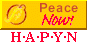 The Hague Appeal for Peace Youth Network