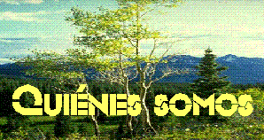 Quienes somos