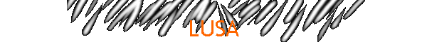 LUSA