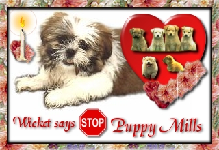Wicket Against Puppy Mills - free graphic!