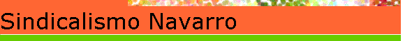 Sindicalismo Navarro