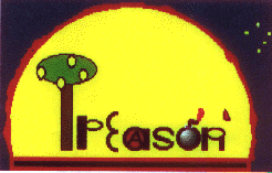 Can't see it? Never mind, truth is it didn't come out too well on the web anyway. The concept is Treason/Tree Sun...oh well...