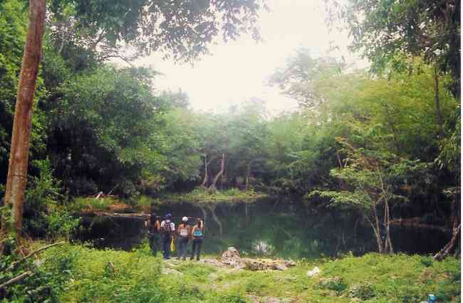 Blue Ponds of La Jarda, Veron, Altagracia Province