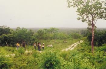 Dirt road to Blue Ponds and La Jarda