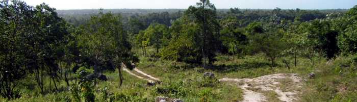 La Jarda dirt road coming down to the hidden valley 5 Kilometers South Veron