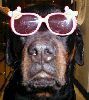 Ain't I cool?