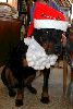 Ho Ho Ho
