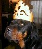 King Carl