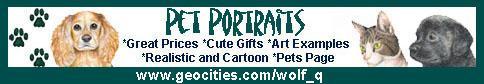 Pet Portraits