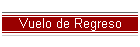 Vuelo de Regreso