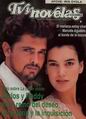 tv y novelas 5 1992