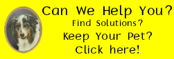 Helping You Save Your Pet