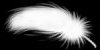 feather