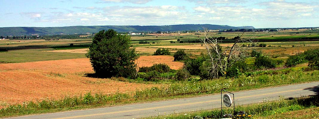 Cape Blomidon View