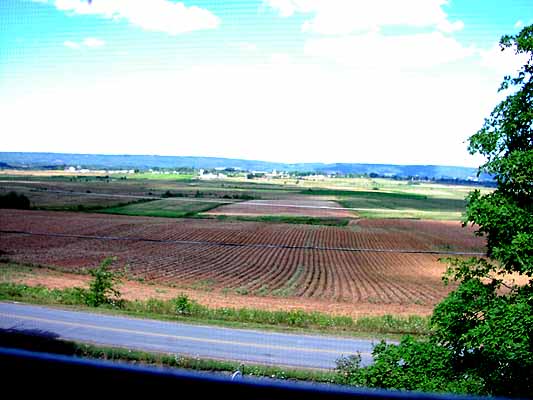 Room 2 View