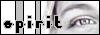 Lauren Collins Online (S-P-I-R-I-T)